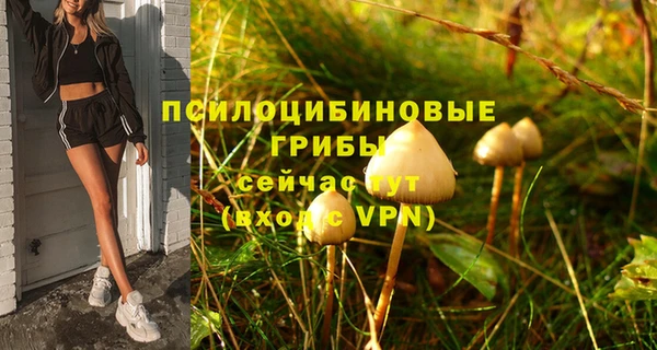 мескалин Армянск