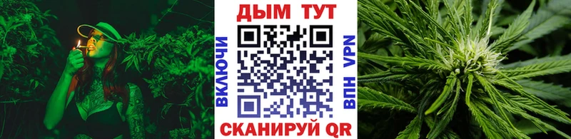 Бошки Шишки SATIVA & INDICA  Сусуман 